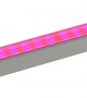 FH 65 FH 65