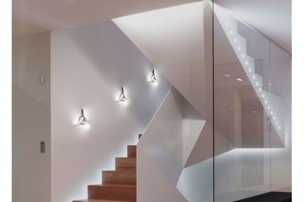 Ирис. Три дуги по 20 см