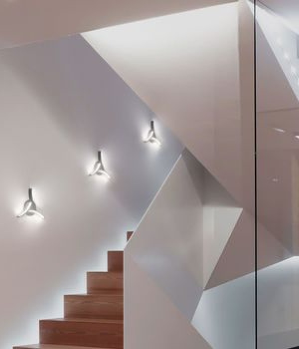 Ирис. Три дуги по 20 см