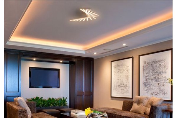 Веер из 8 линий по 51 см